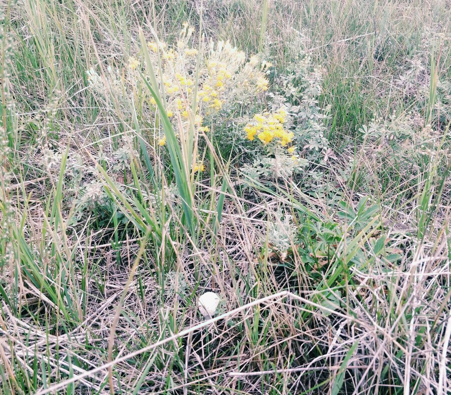 После дождика - Андрей Хлопонин