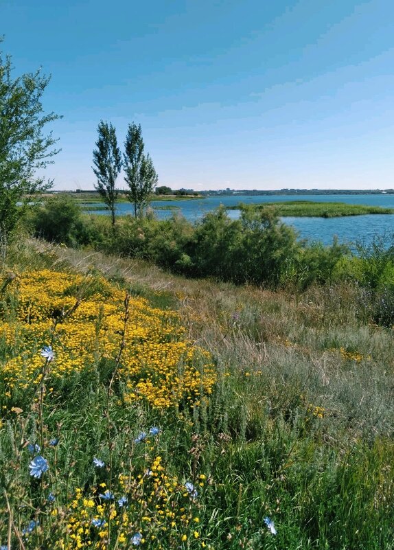 Лето нашей памяти - Георгиевич 