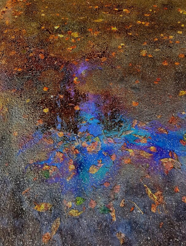 Картина на асфальте - Любимова Ольга 