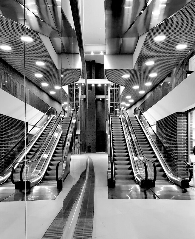 Симметрия. Черно-белая фотография - Любимова Ольга 