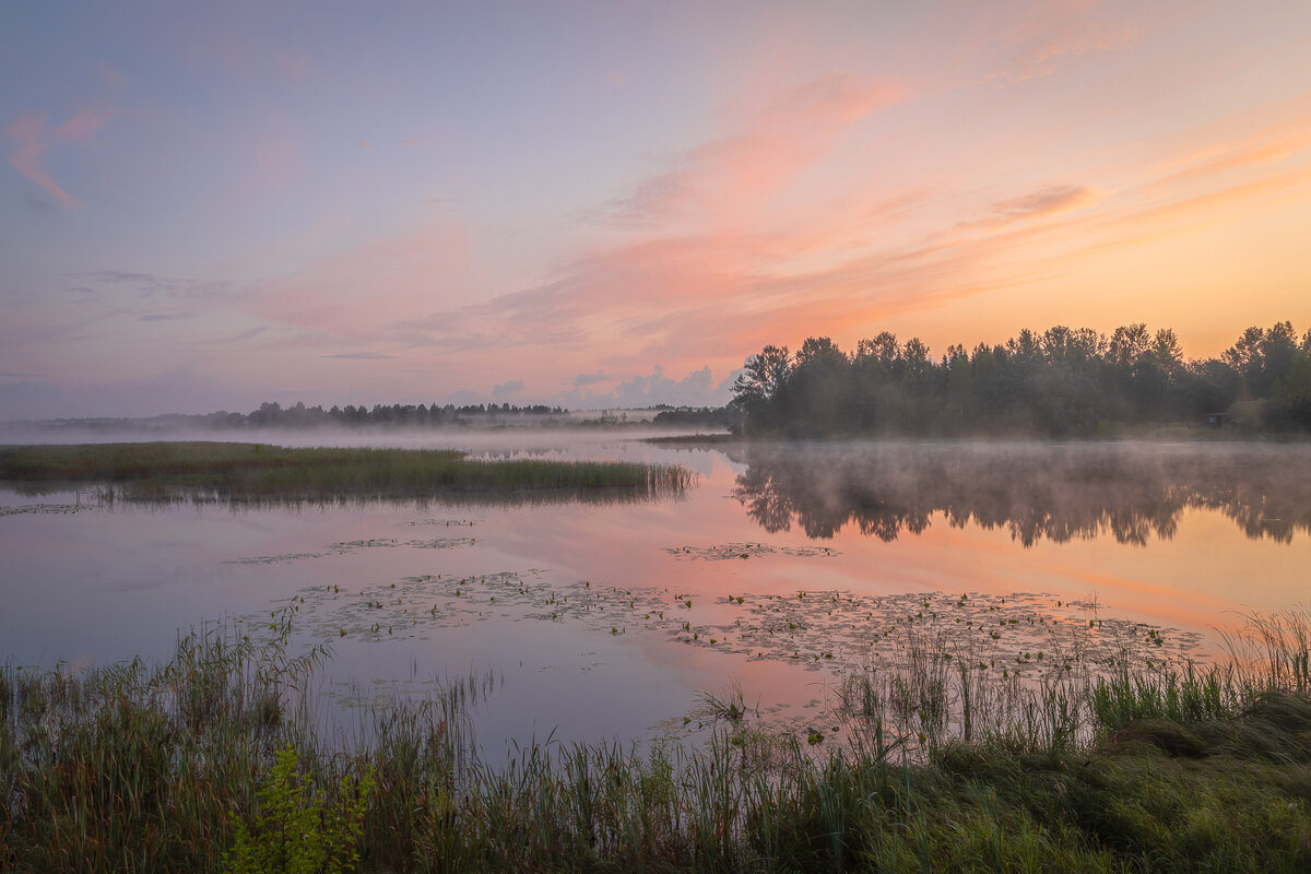 **** - Елизавета .