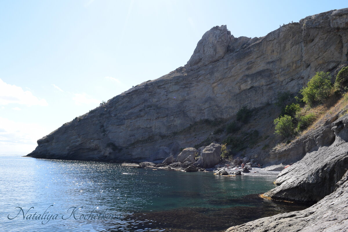 Природа Крыма - Amazing Cosmea