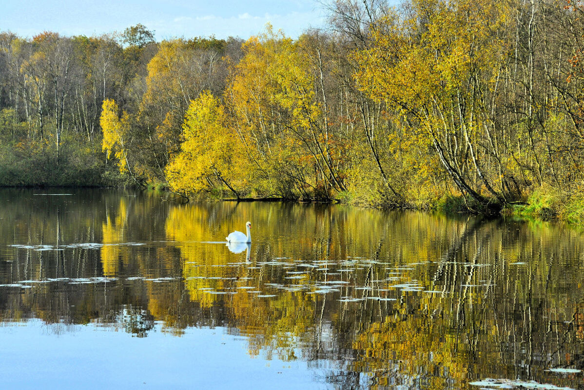 В объятьях осени - Галина Шеина-Мюльдорфер