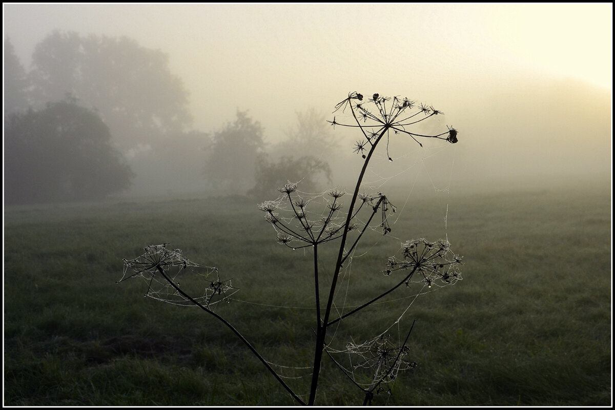 утро - Aleksandr Gal утро - Aleksandr Gal