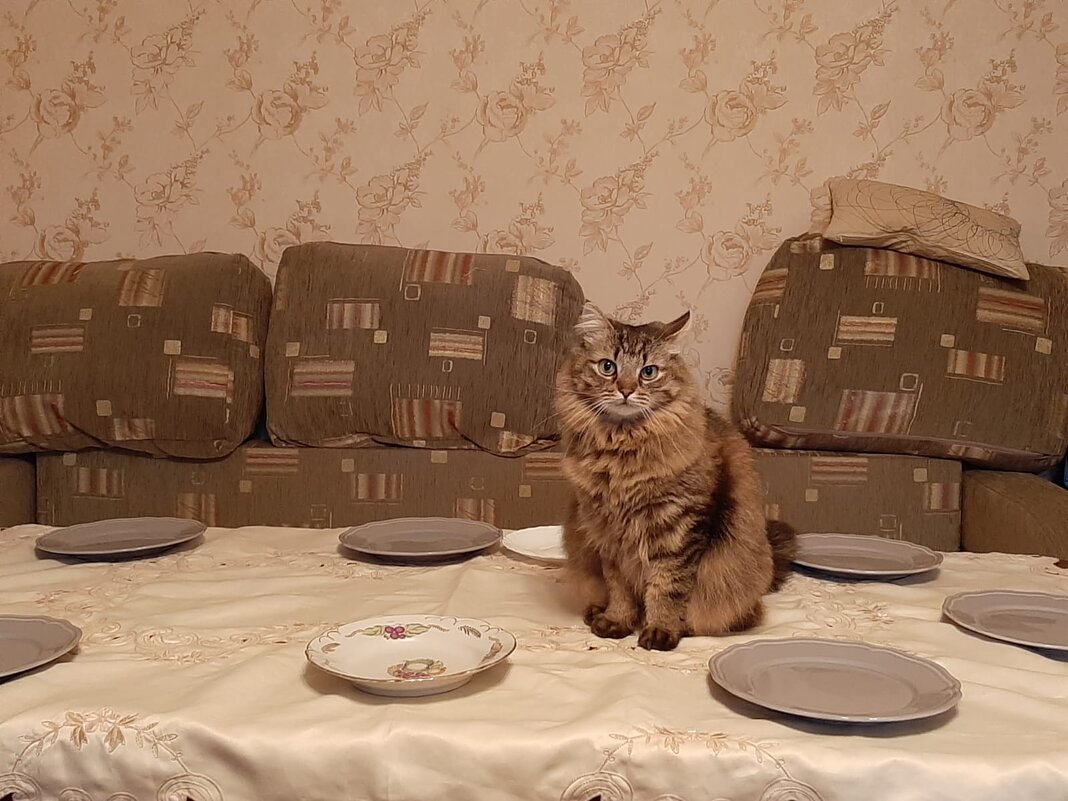 В ожидании гостей. - Владимир Волик