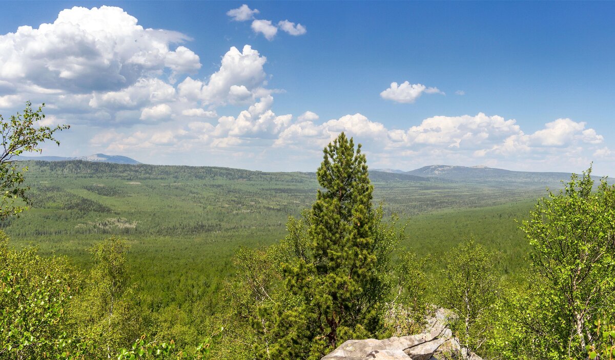 На горе Крутой Ключ. Вид на хребет Большой Уральский и вершины Таганая (панорама). - Алексей Трухин На горе Крутой Ключ. Вид на хребет Большой Уральский и вершины Таганая (панорама). - Алексей Трухин