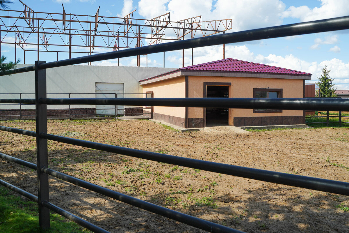 НОВЫЙ_КОРПУС - Сергей Янович Микк