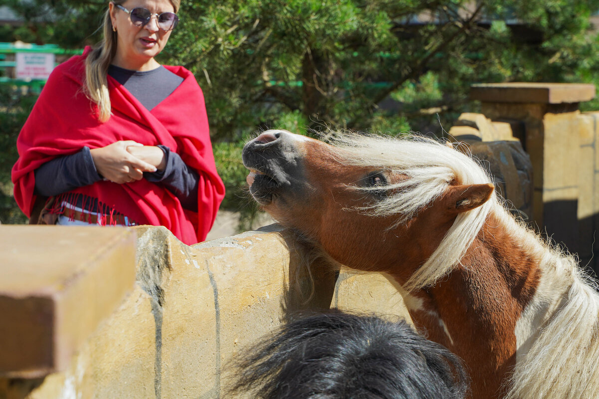 НУ_И_ - Сергей Янович Микк