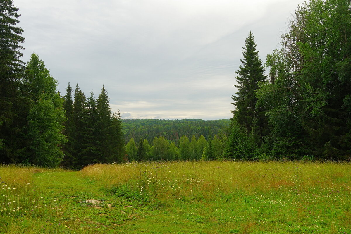 Пермский край - Сергей Беляев