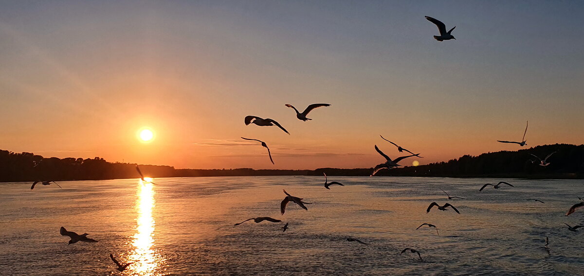 Закат - Михаил Свиденцов