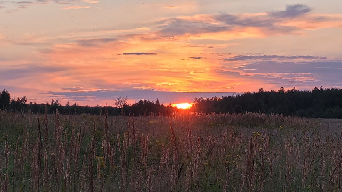 Август - Вера (makivera)