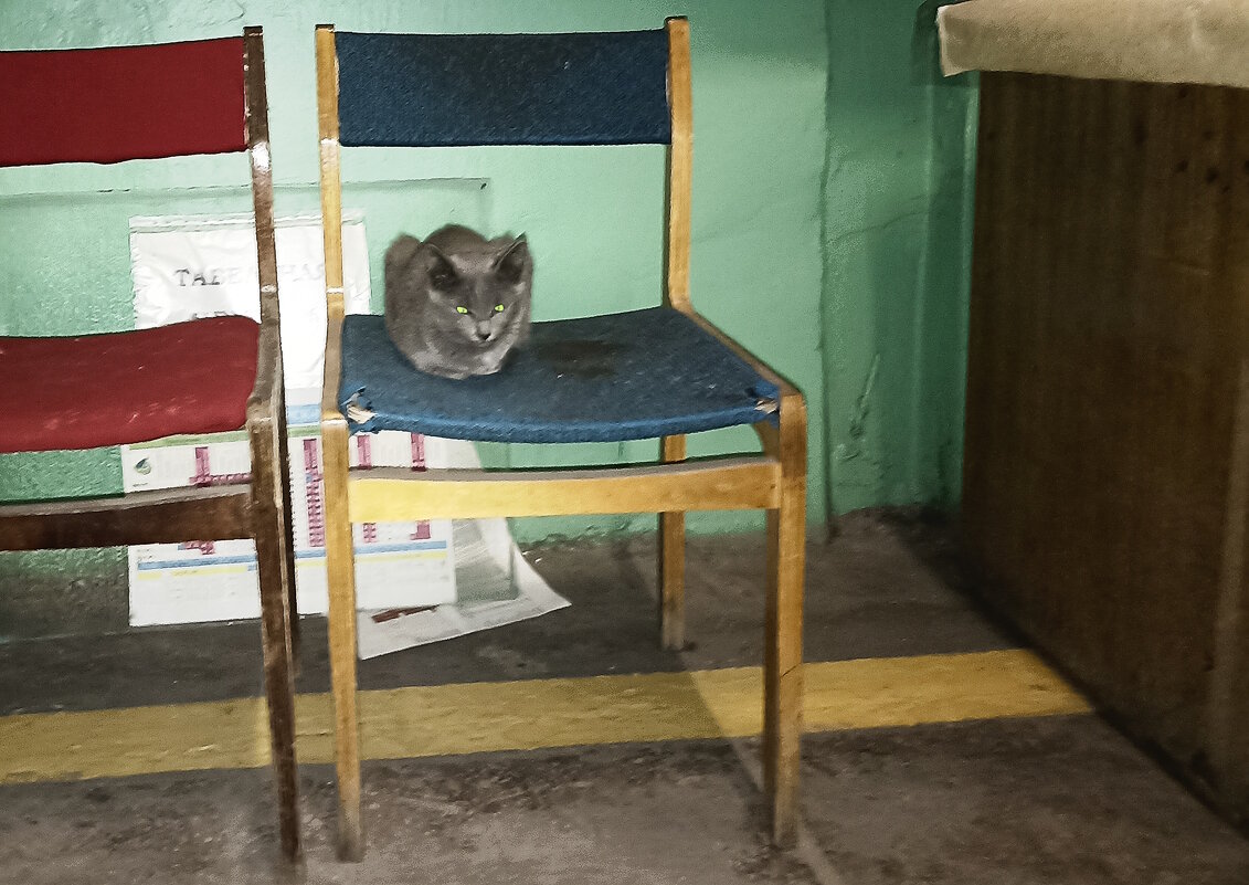 Всегда на посту. - Вячеслав. Синицын