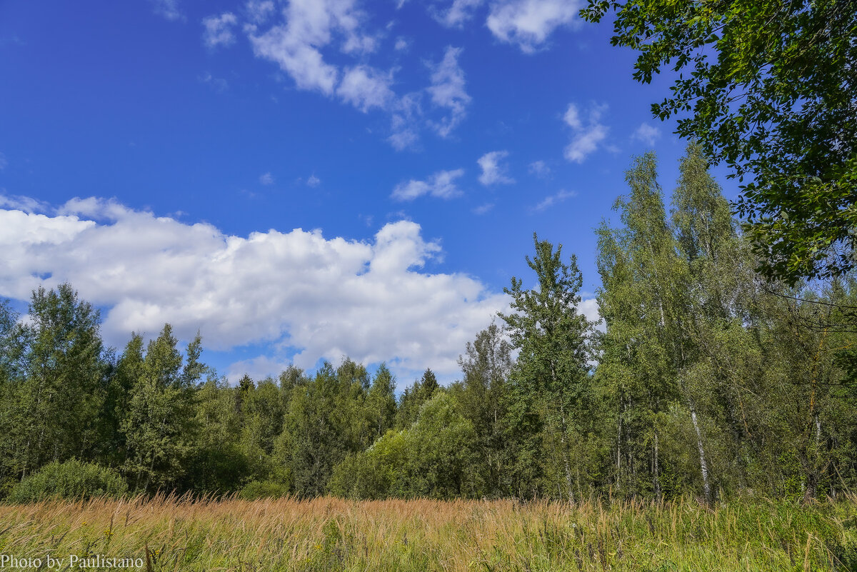 Палитра августа... - Владимир Жданов