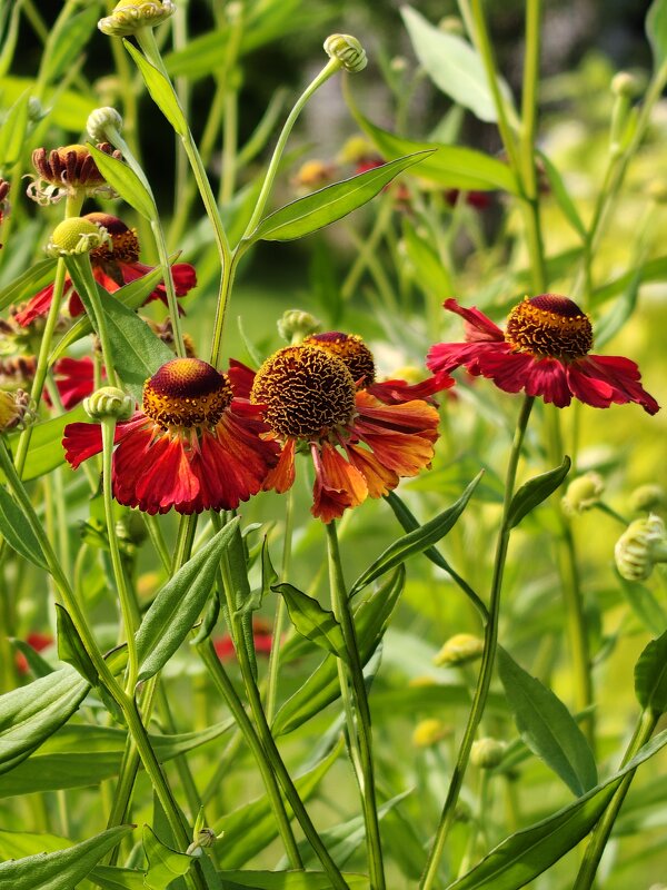 ... - Андрей ... - Андрей