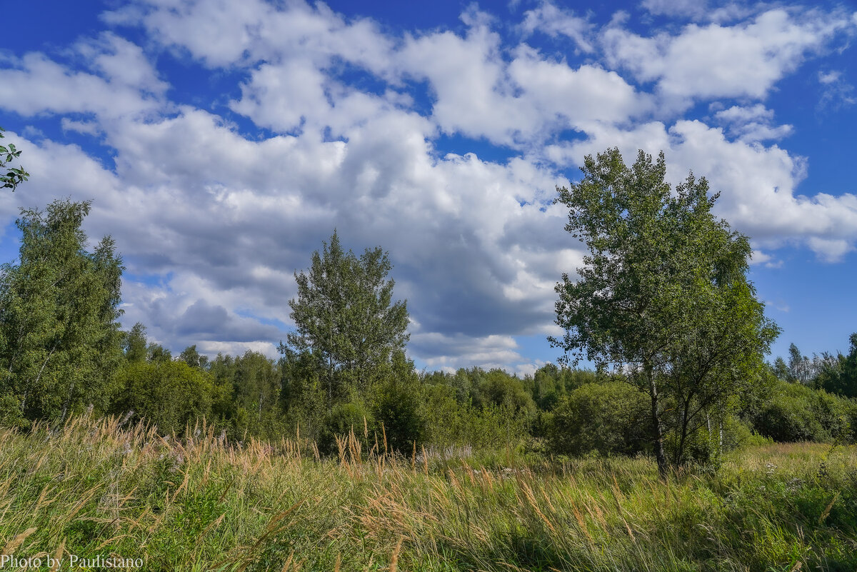 Под небом августа... - Владимир Жданов
