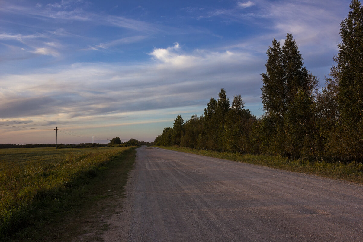 Что скрыто там, за поворотом? - Дмитрий Костоусов