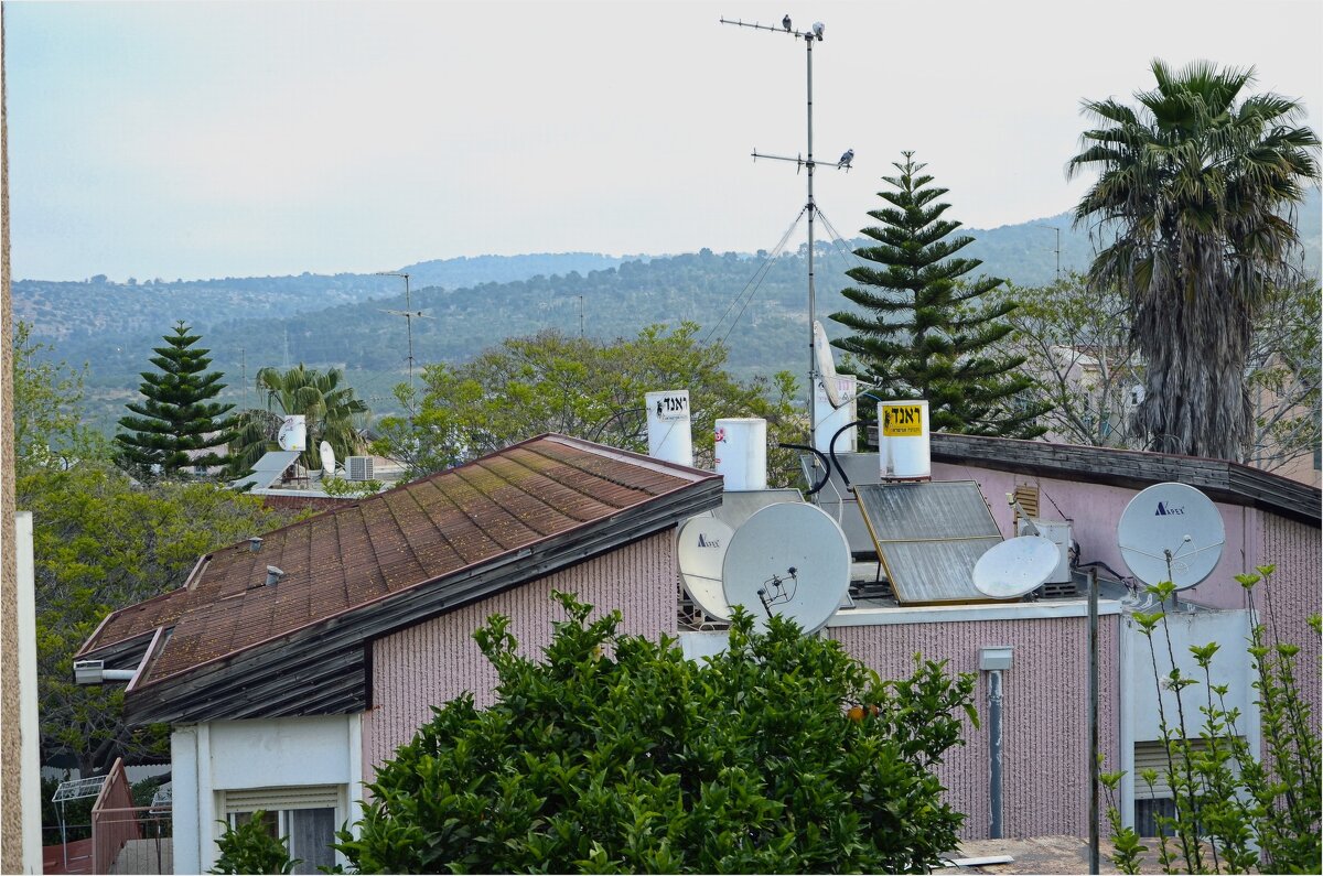 2012Г  ВИД  ИЗ БАЛКОНА - ujgcvbif 