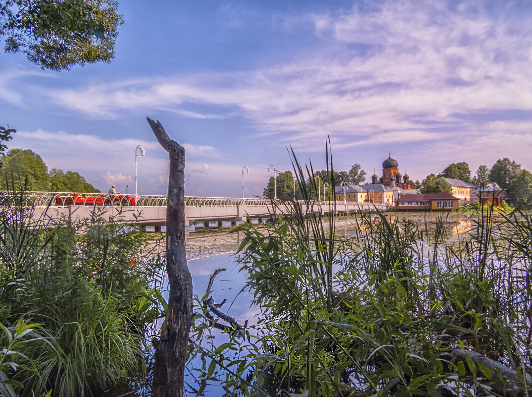 С корягой - Сергей Цветков