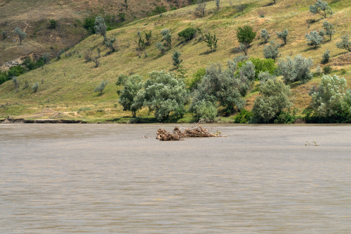 Река Кубань - Игорь Сикорский