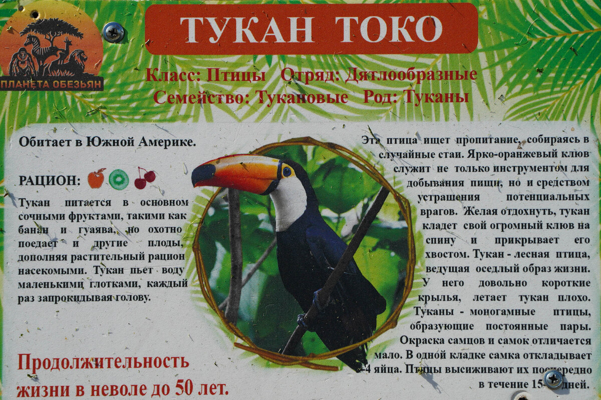 РОД - Сергей Янович Микк