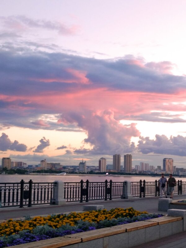 Над Амуром тучи ходят хмуро.... - Елена Пивоварова