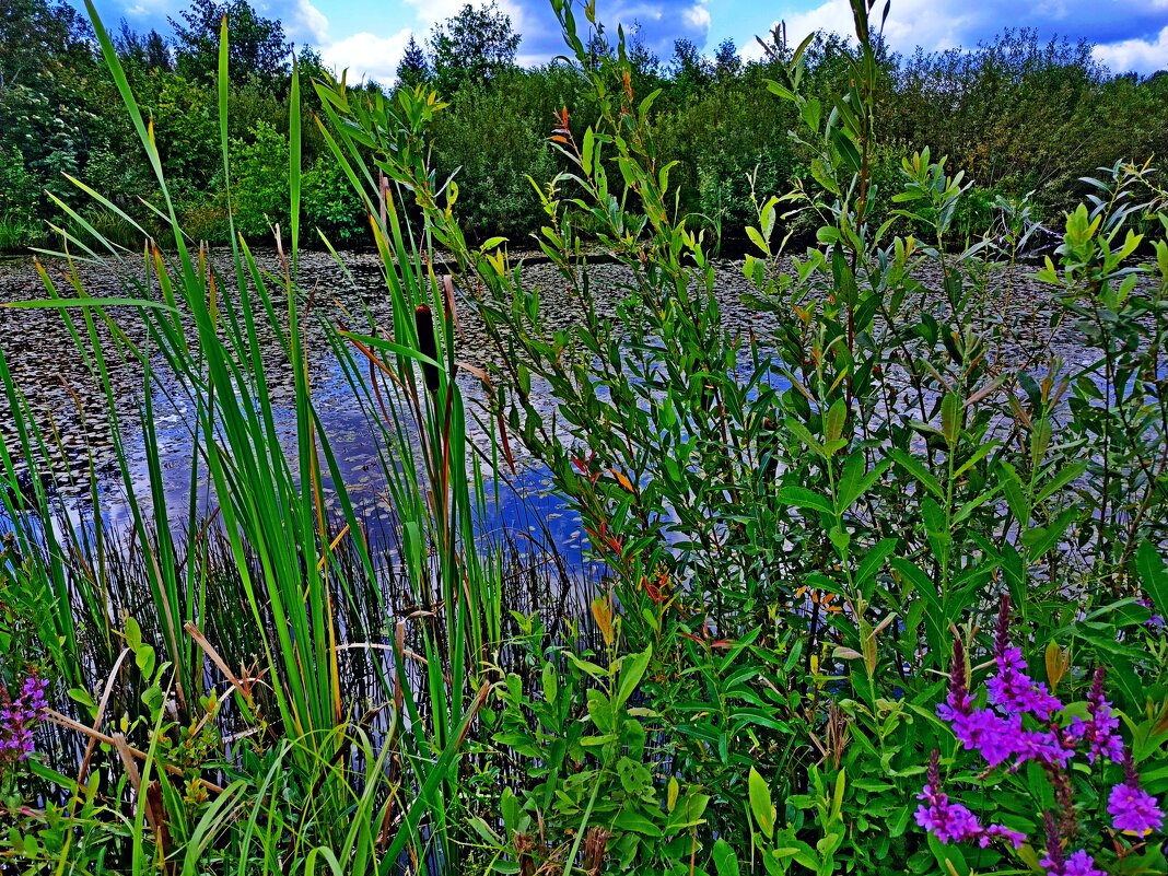 Где-то за городом... - Vladimir Semenchukov