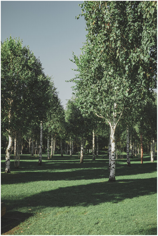 *** - someone somewere