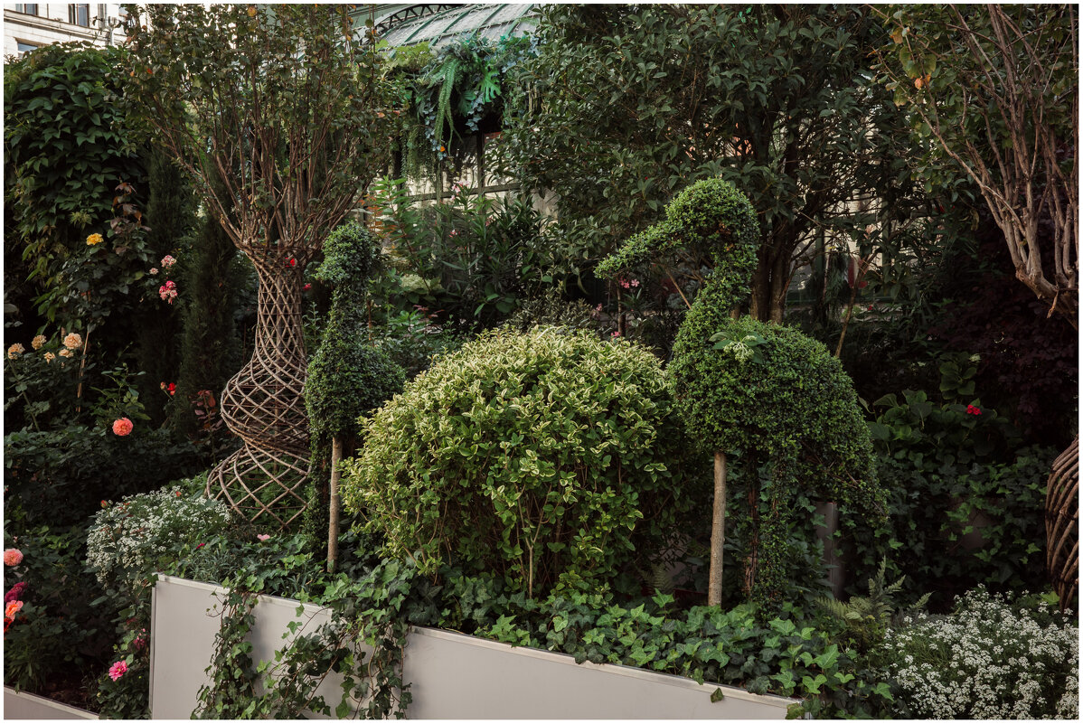 *** - someone somewere