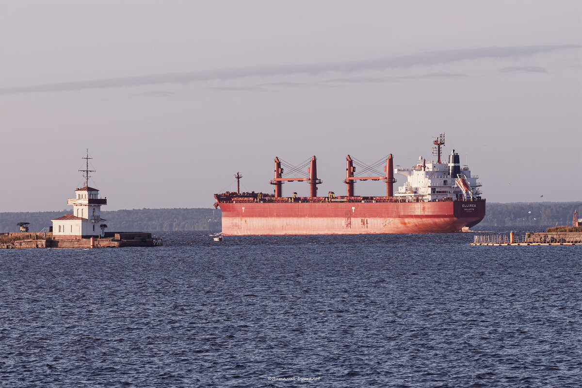 Кронштадтский рейд - Виталий Буркалов