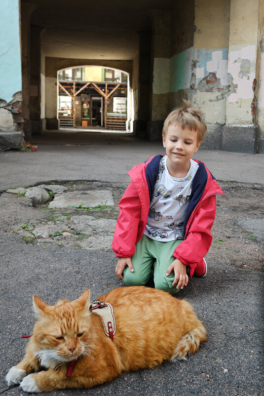 ... - ВЛАДИМИР 