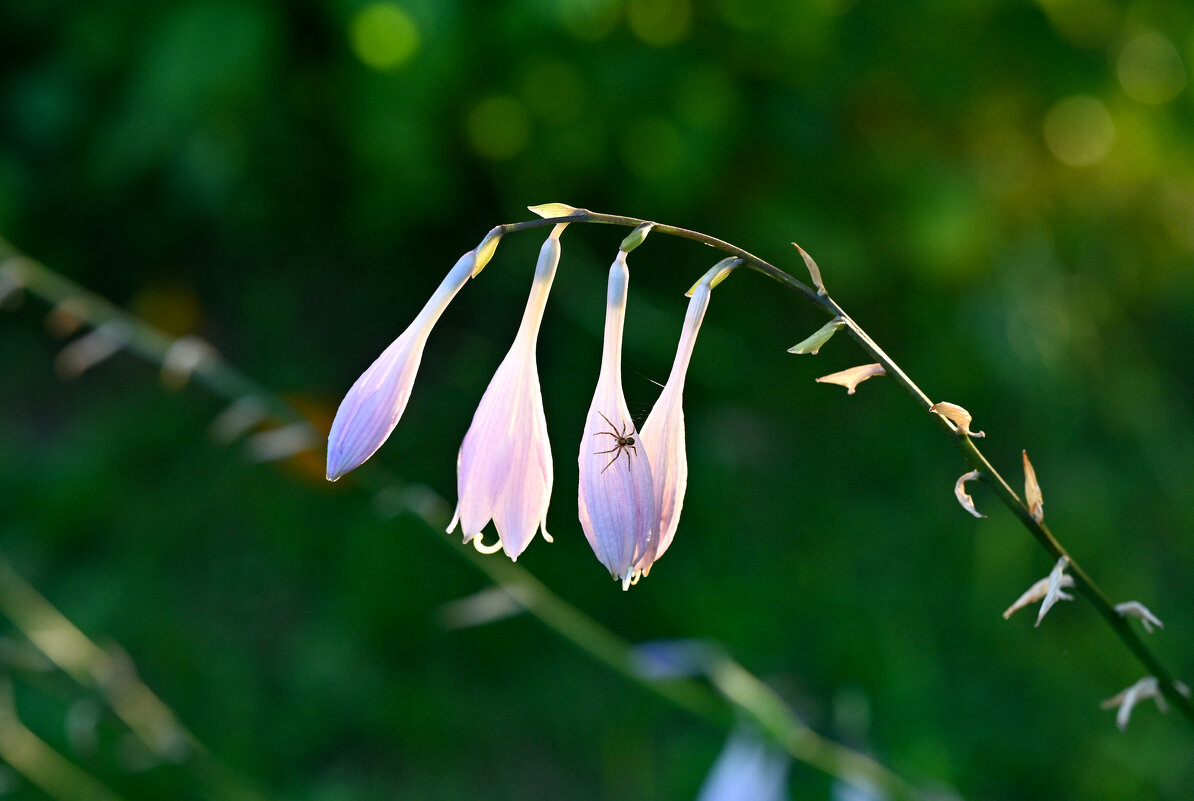 * - Вадим * - Вадим