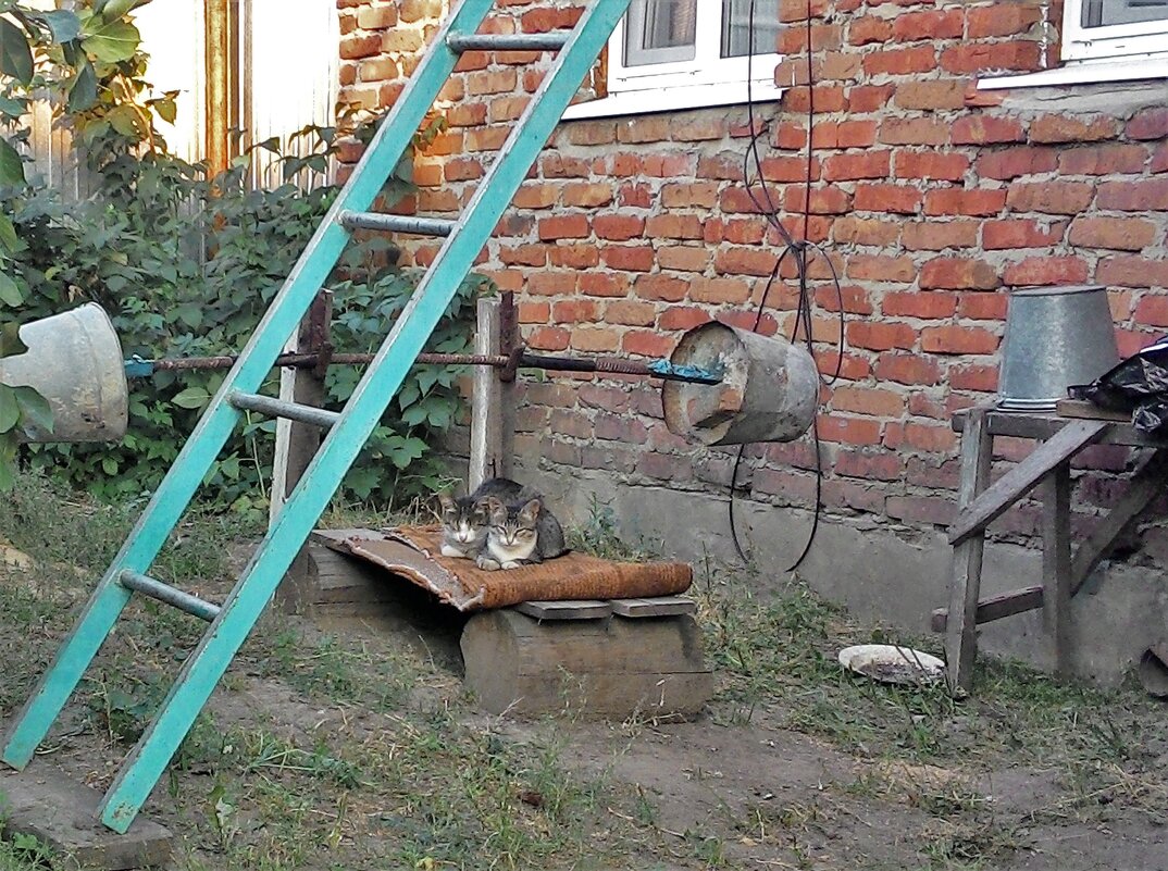 Вот моя деревня. - Венера Чуйкова