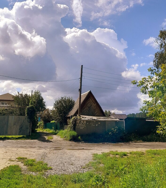 Тучи над дачами встали ! - Мила Бовкун
