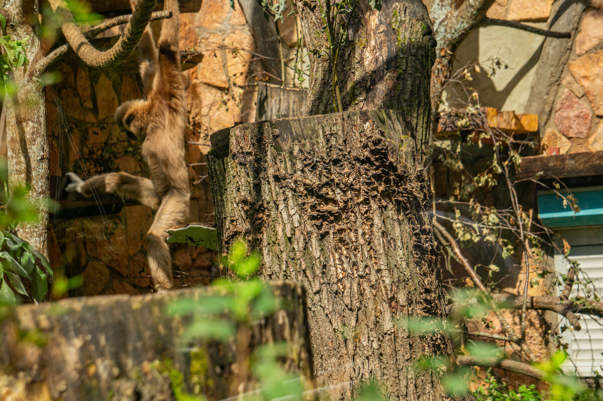 Физкультура - Ирина Соловьёва