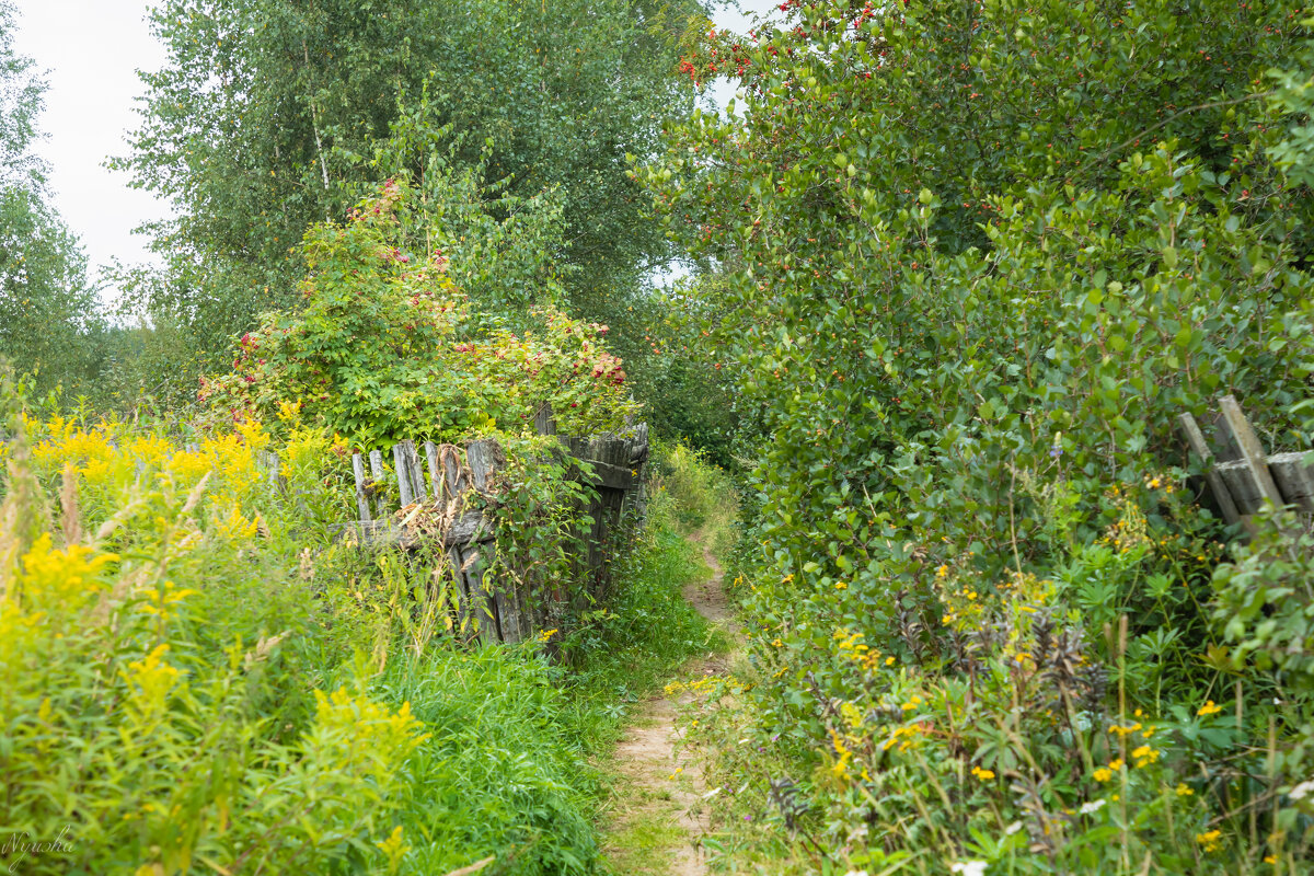 По тропинке тихо уходит лето... - Nyusha .