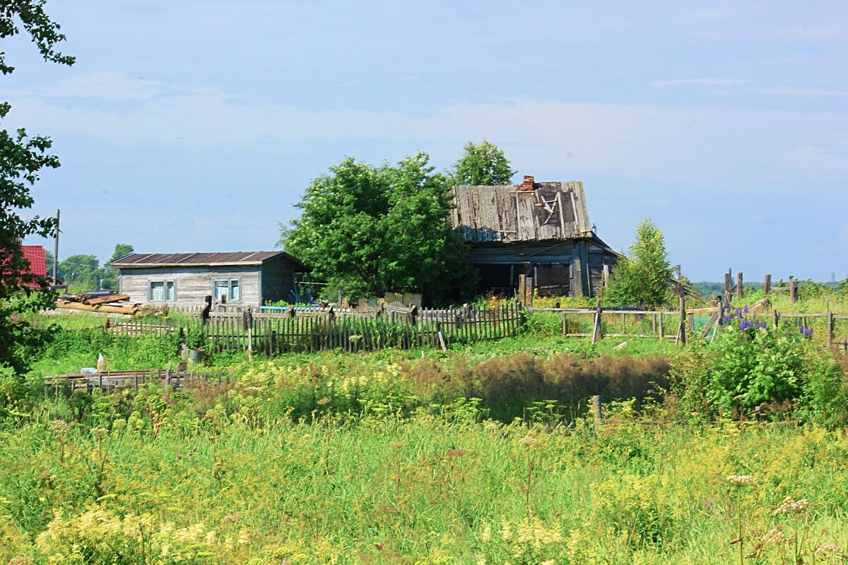Деревня Сальнаволок. - Сергей Кочнев