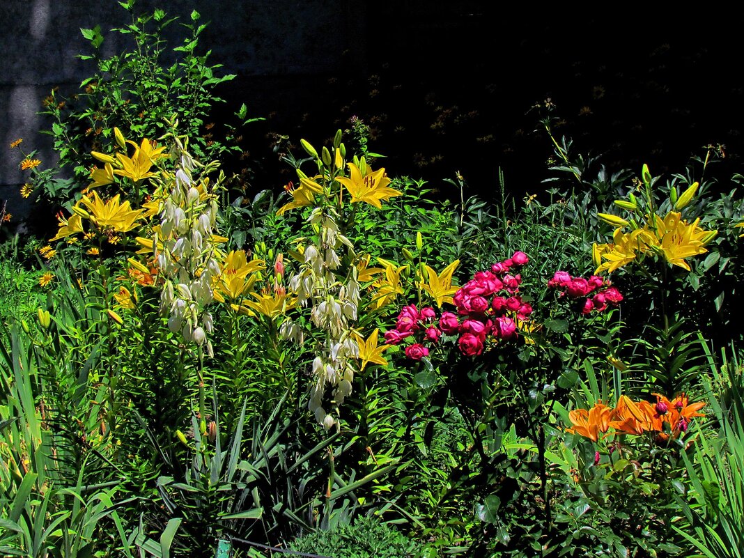 Летние цветы - Роман Савоцкий