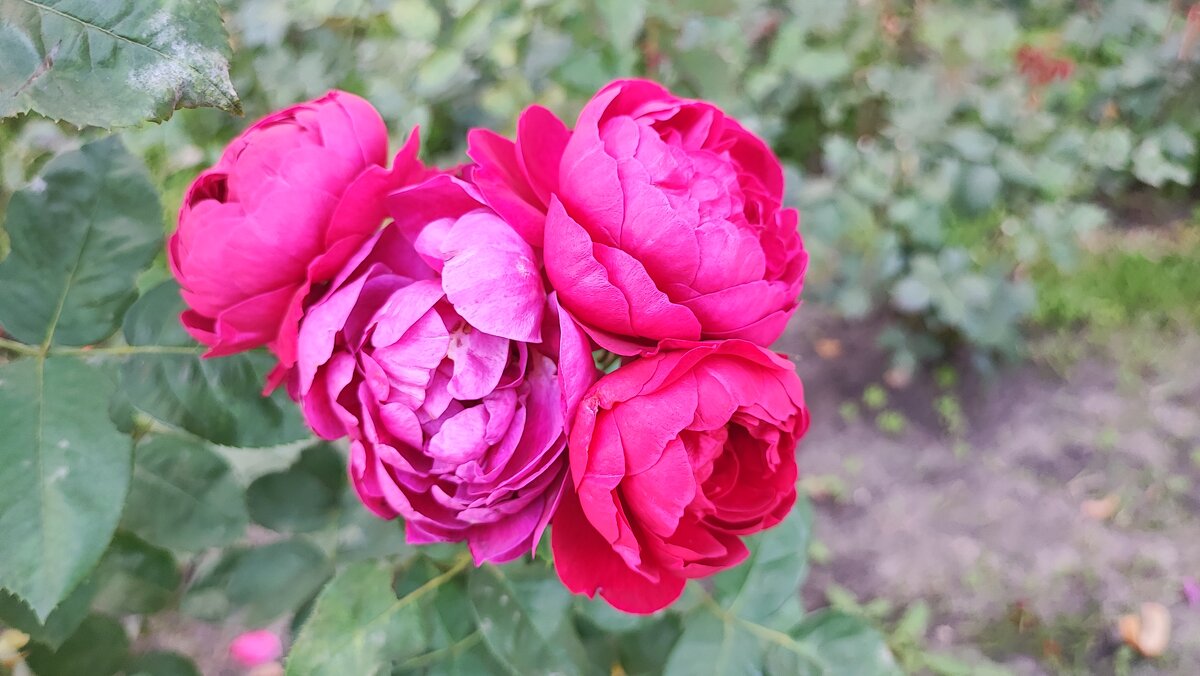 ,,, - Сергей Тимоновский