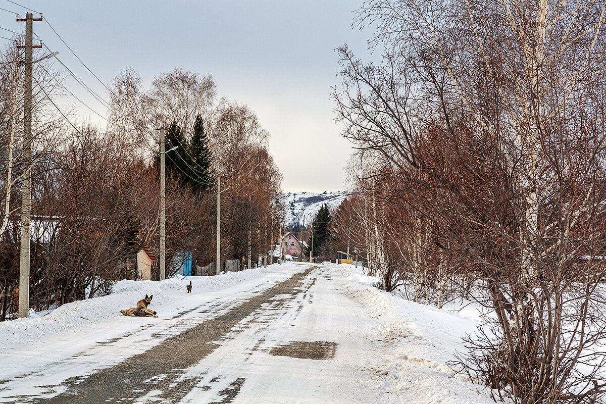 Риддер - Дмитрий 