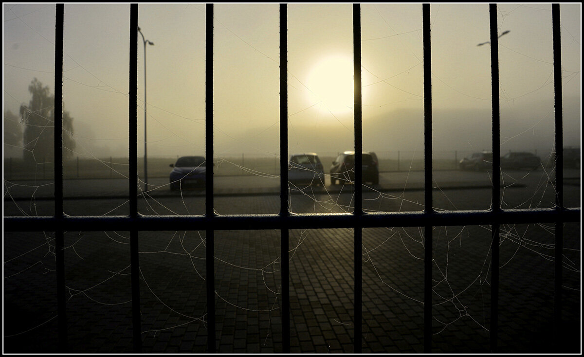 утро.. - Aleksandr Gal