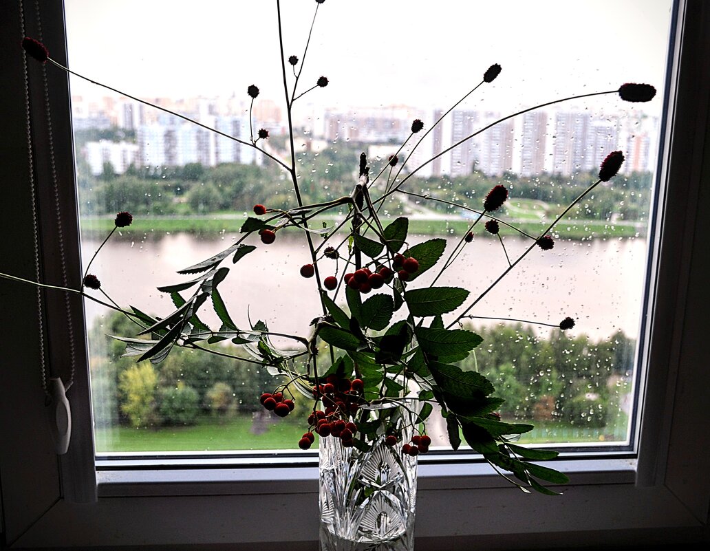 Сегодняшнее утро началось с дождика,,, - Анатолий Колосов Сегодняшнее утро началось с дождика,,, - Анатолий Колосов