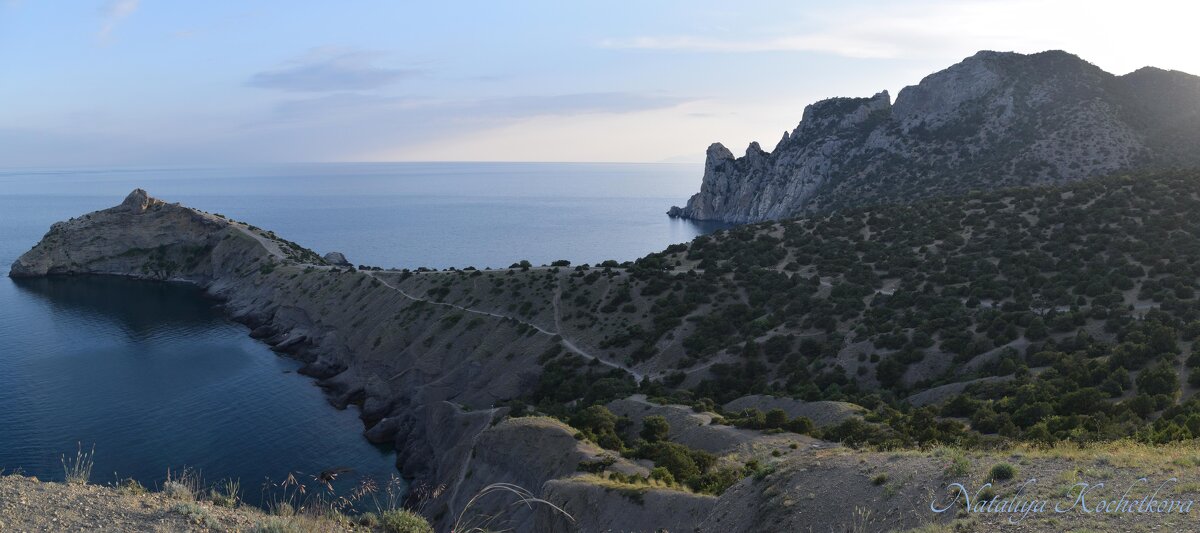 Природа Крыма - Amazing Cosmea Природа Крыма - Amazing Cosmea