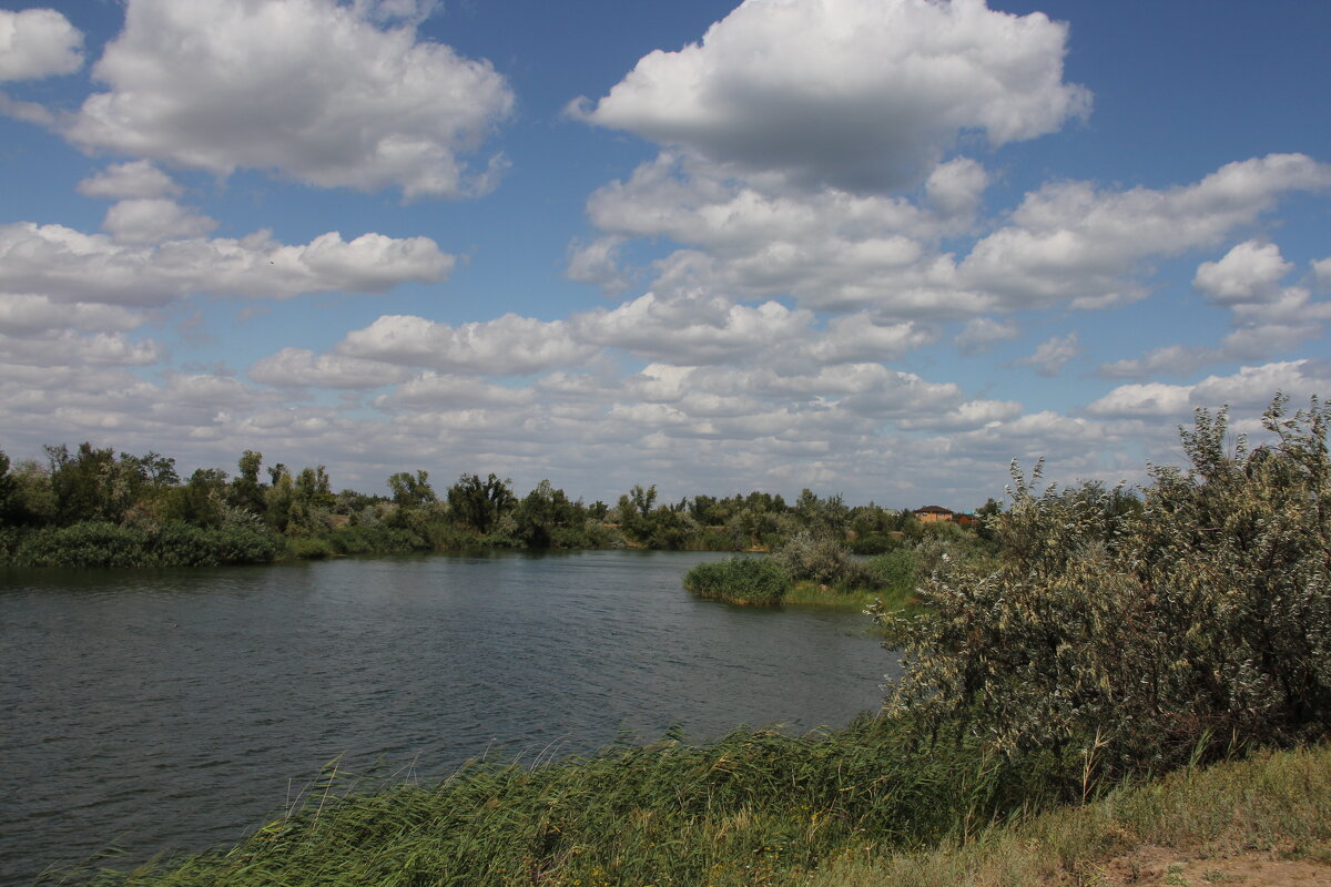 ***** - Виктор 