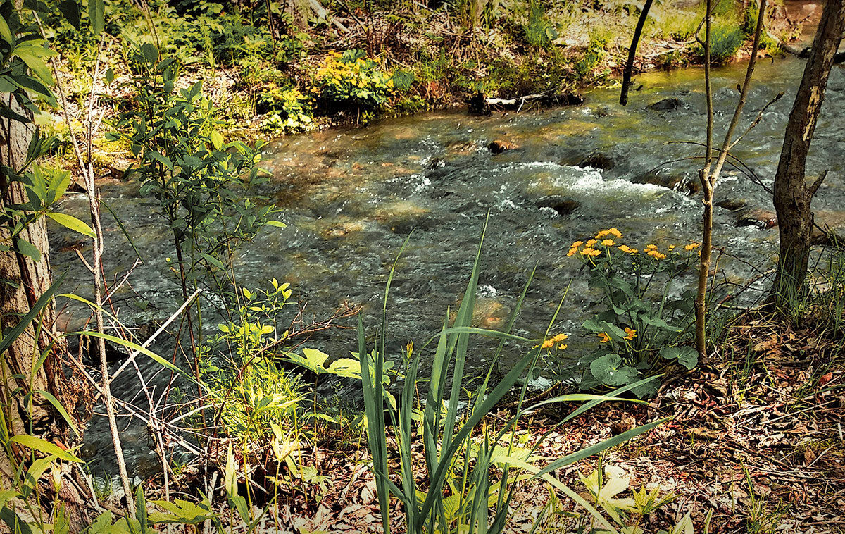 Маленький перекат большого ручья - Людмила Фил