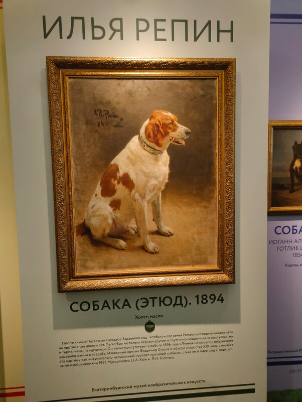 На выставке "Жизнь замечательных собак" - Ирэн 