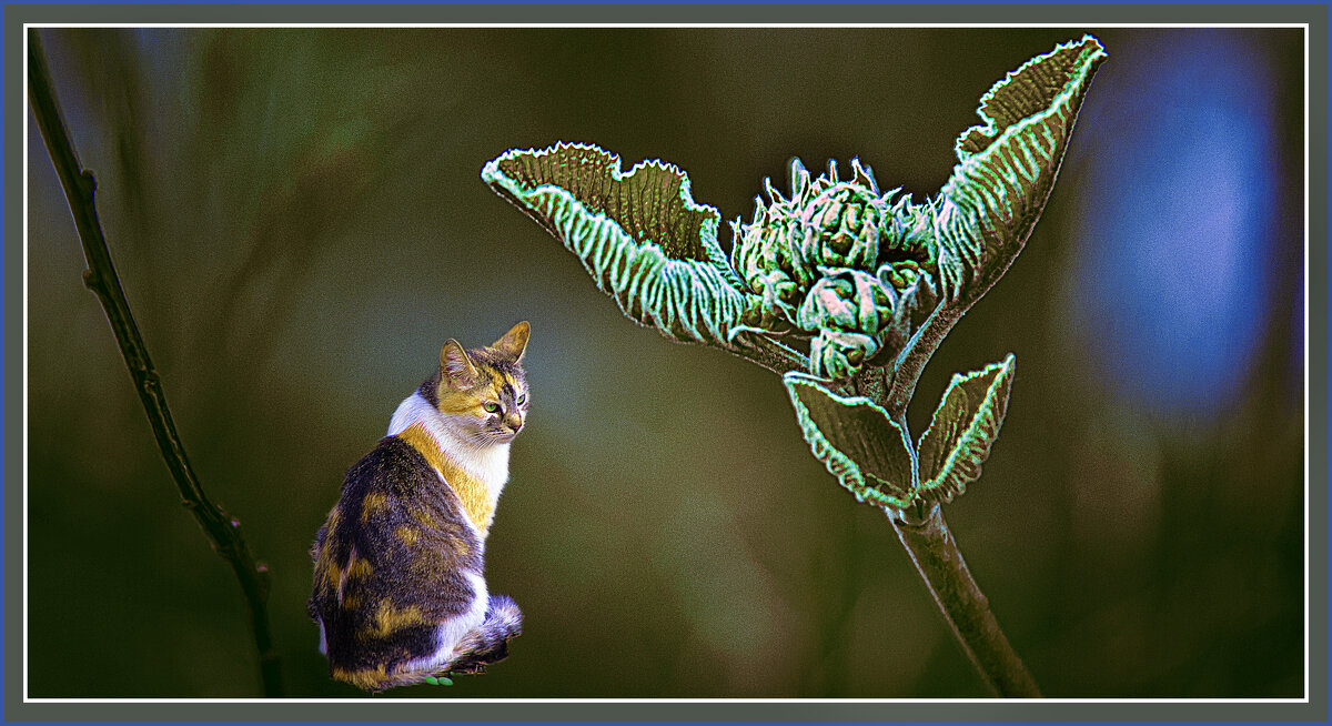 Композиция с кошечкой - Владимир Кроливец Композиция с кошечкой - Владимир Кроливец