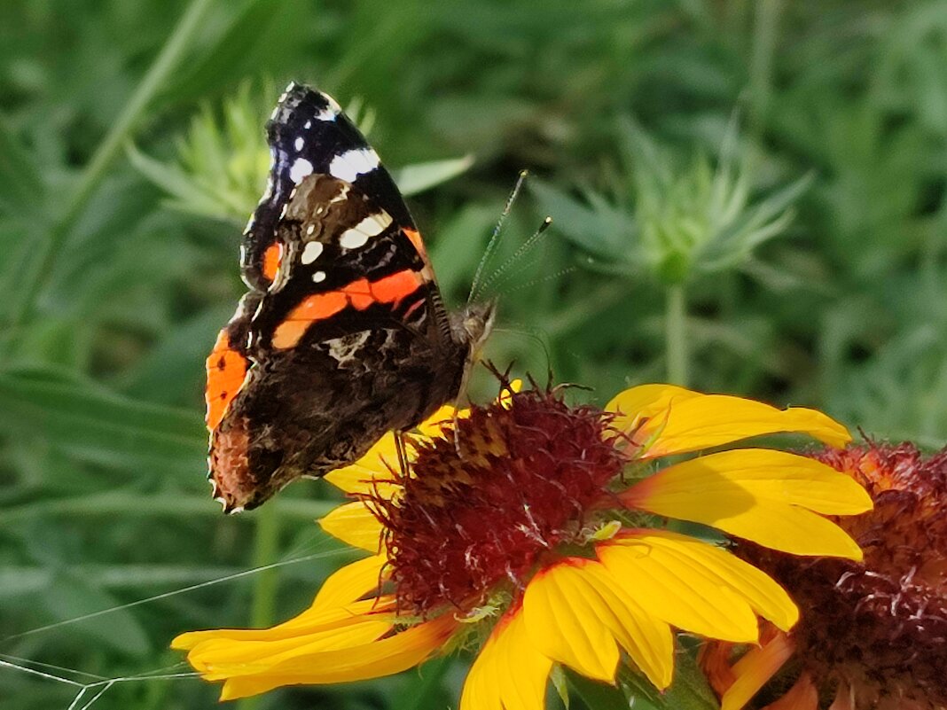 Сегодня - Валентина Богатко 