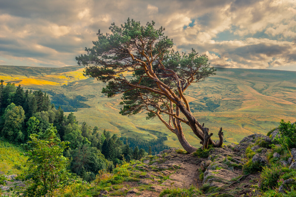 *** - Аnatoly Gaponenko