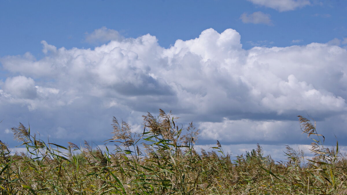 Август и облака. - сергей ермошкин