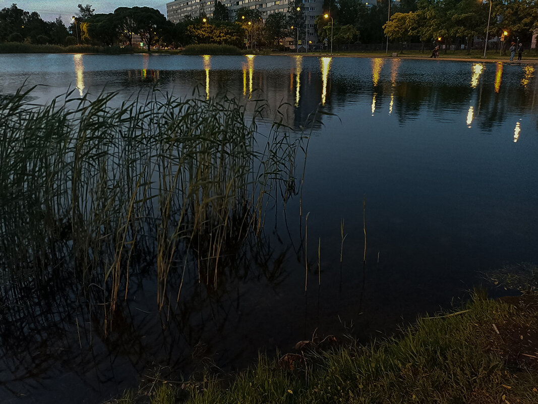 Белые ночи Санкт - Петербурга. - Лилия * Белые ночи Санкт - Петербурга. - Лилия *